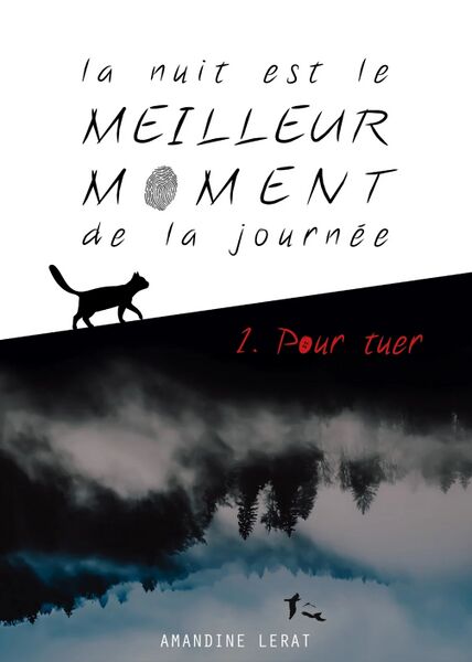 Fichier:Nuitmeilleurmomenttuer.jpg