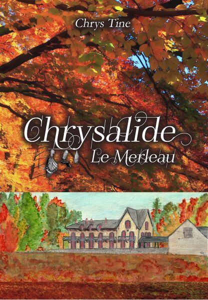 Fichier:Chrysalide3.jpg